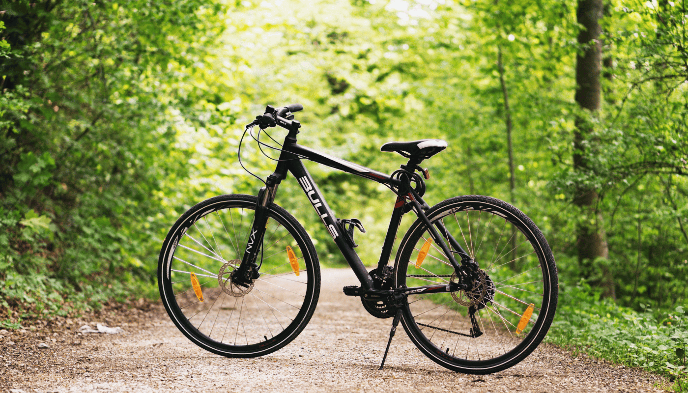 Quelle Est La Différence Entre Un Vélo Electrique Et Un Vélo à Assistance Electrique  